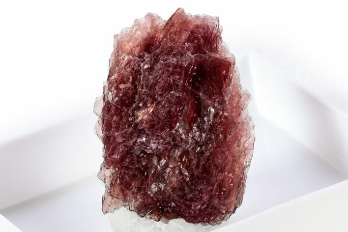 Lustrous Red Alurgite Crystal Cluster - South Africa #309595